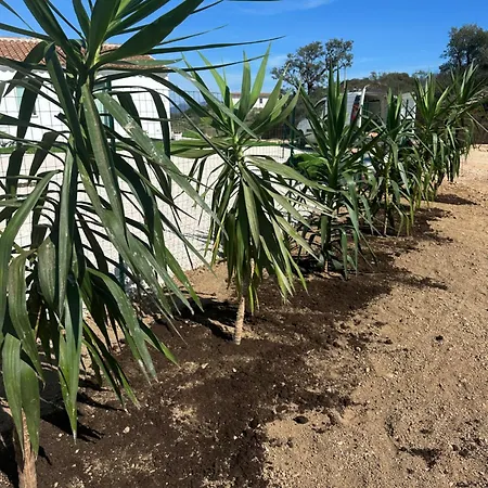 בית נופש Fiori Di Cactus מורתה מריה